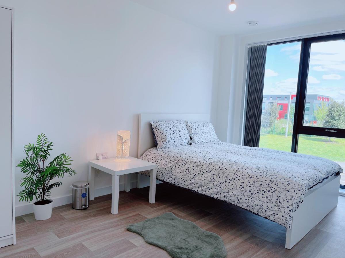 Modern House — Photos 3